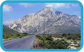 Saltillo