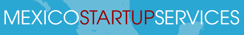 Mexico Startup Services